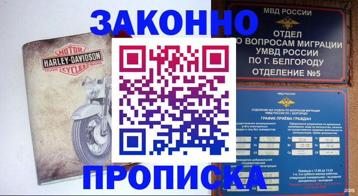 прописка для школы в Кирсанове